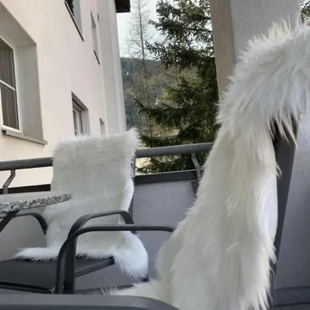 Gian: Near Congress Center & Winter Activities Davos